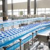 Stainless steel conveyor(不锈钢输送机)